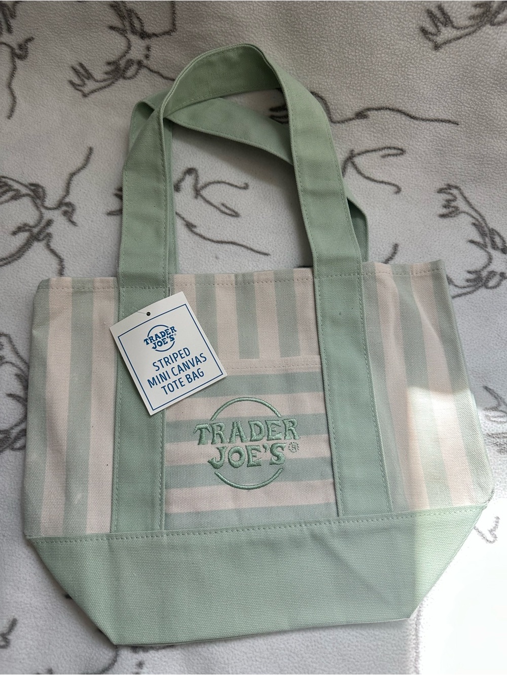 Mint Green Striped Canvas Mini Tote Bag